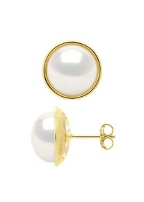 Ohrringe - Umgebung Sleek - Prestige - Gelbgold - Echte S&uuml;&szlig;wasser-Zuchtperlen Knopf 10-11 mm