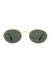 Ray-Ban Oval Unisex Gold Gr&uuml;n G-15 Sonnenbrille
