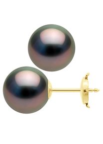 Ohrringe - Gelbgold 375 - Echte Tahiti-Zuchtperlen rund 10-11 mm