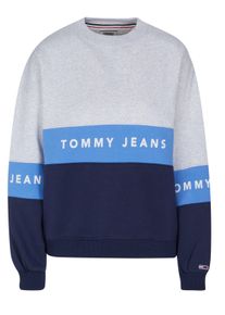 Tommy Hilfiger Jeans Pullover