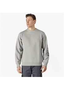 Dickies OKEMO Herren Grafik Sweatshirt Grau Melange