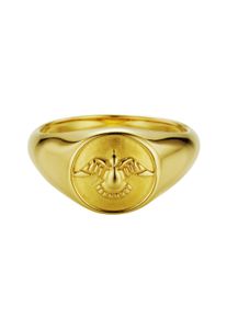 CAI Ring 925/- Silber vergoldet Taube Siegelring