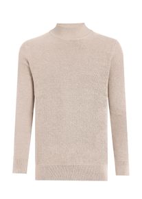 Pullover Rollkragenpullover