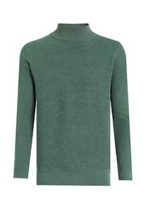 Pullover Rollkragenpullover