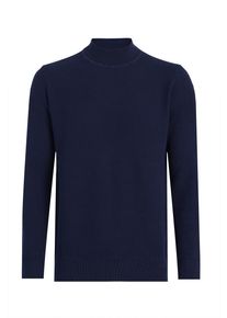 Pullover Rollkragenpullover