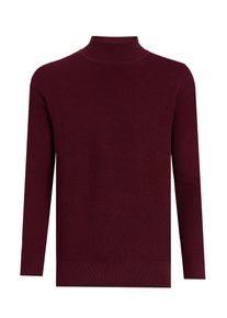 Pullover Rollkragenpullover