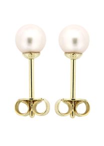 OROLINO Ohrringe Gold 585 mit echten Akoya-Perlen weiss 5mm rund