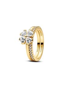 Pandora Damenring Timeless 164507C01-54