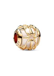 Pandora Charm Moments 762435C01