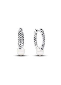 Pandora Creolen Pandora Timeless 293171C01