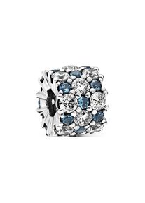 Pandora Charm Timeless 798487C02