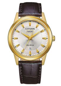Citizen Braun Herren Armbanduhr AW0102-13AC