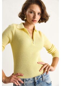 Pullover mit Rei&szlig;verschlusskragen