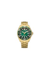 Citizen Herrenuhr Eco-Drive BN0262-59W