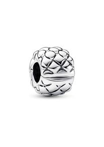 Pandora Charm Moments 792746C00
