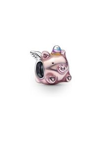 Pandora Charm Moments 792573C01