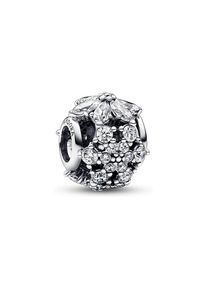 Pandora Charm Timeless 792383C01