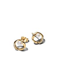 Pandora Ohrstecker Essence 264662C01