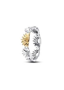Pandora Damenring Moments 164702C00-54