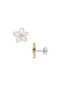 Fossil Ohrstecker Sutton JF04973710