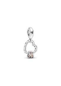 Pandora Charm Moments 787247NLCMX