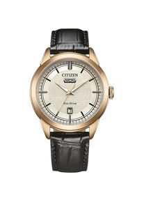 Citizen Schwarz Herren Armbanduhr AW0153-04AC