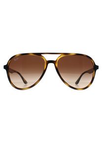 Ray-Ban RB4376 710 poliert havanna braun Verlauf Sonnenbrille
