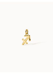 PURELEI Sch&uuml;tze Zodiac Charm