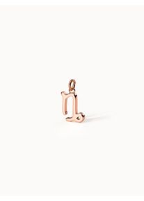 PURELEI Steinbock Zodiac Charm