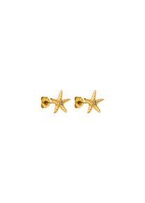 PURELEI Aloha Starfish Ohrringe mit Zirkonia Steinen