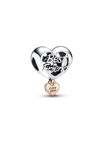 Pandora Charm Moments 782243C00