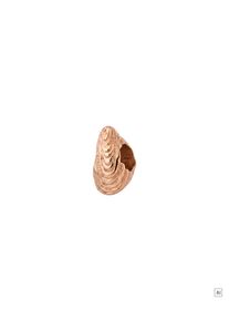 PURELEI LEI Island Shell Charm