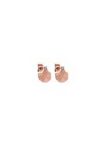 PURELEI Small Shell Ohrringe mit Zirkonia Steinen