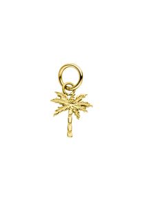 PURELEI Palmtree Charm
