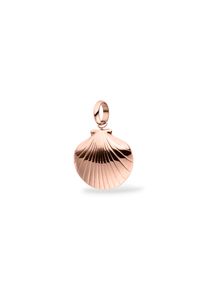 PURELEI Seashell Charm