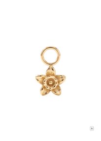 PURELEI Nazisse Ohrring-Charm 
- Geburtsblume Dezember