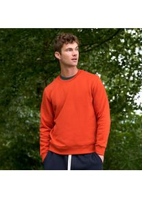 LANDS' END Rundhals-Sweatshirt SERIOUS SWEATS f&uuml;r Herren, Herren, size: regular, Braun, Baumwoll-Mischung/Polyester-Mischung, by Lands' End