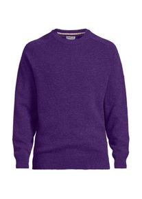 Rundhalspullover aus Lambswool, Herren, size: regular, Lila, Wolle, by Lands' End