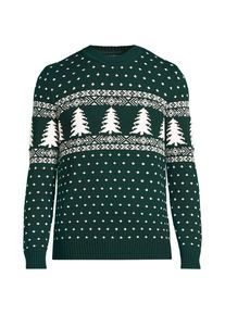 Fair Isle Pullover Drifter aus reiner Baumwolle, Herren, size: regular, Gr&uuml;n, Baumwolle, by Lands' End