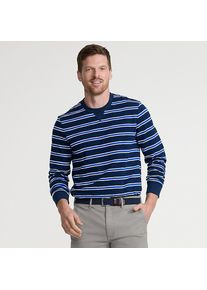 LANDS' END Flammgarn-Shirt aus reiner Baumwolle f&uuml;r Herren, Herren, size: regular, Blau, Baumwolle, by Lands' End
