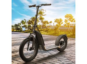 4054748019646 - Elektro Scooter mit Straßenzulassung E-Scooter Aluminium Elektroroller eKFV Zulassung Faltbar Roller EScooter - schwarz 4054748019646 - Elektro Scooter mit Straßenzulassung E-Scooter Aluminium Elektroroller eKFV Zulassung Faltbar Roller EScooter - schwarz