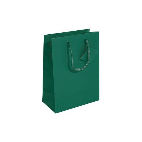 4004360797637 - Geschenktasche GT501 allgemein SmallKunststoffkordelGeschenkanhänger ohne 17cm x 23cm 4004360797637 5 Stück