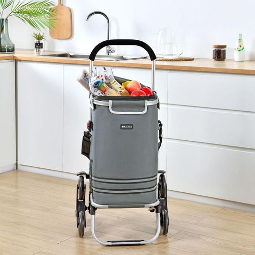 4059438622502 - [encasa] - Treppensteiger Einkaufstrolley Neef 41 Liter bis 20 kg Dunkelgrau Grau